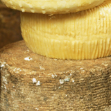 Canestrato Pugliese DOP (Canestrato foggiano o Pecorino Dauno)