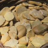 Fava di Carpino