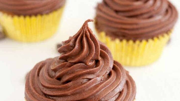 BEST EVER Chocolate Fudge Cupcakes with Chocolate Fudge Buttercream