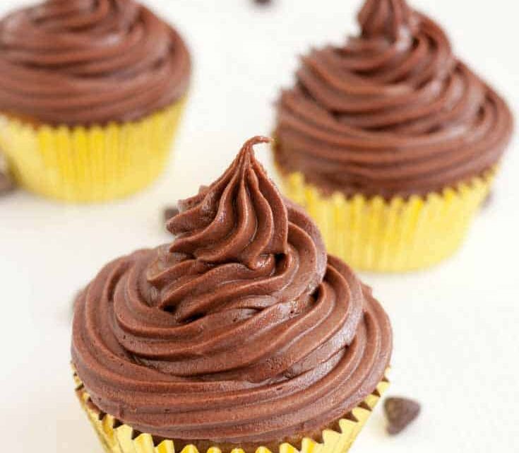 BEST EVER Chocolate Fudge Cupcakes with Chocolate Fudge Buttercream