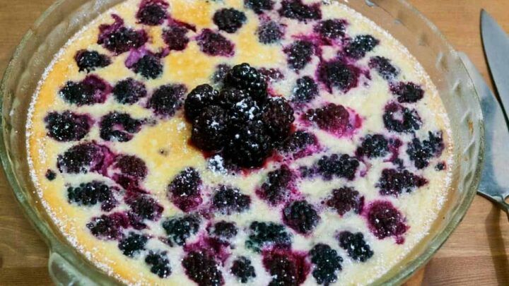 Blackberry Clafoutis