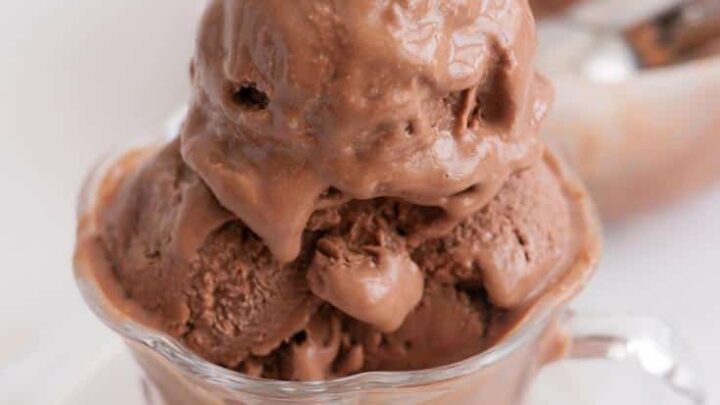 Chocolate Ice Cream No Churn  3 Ingredients