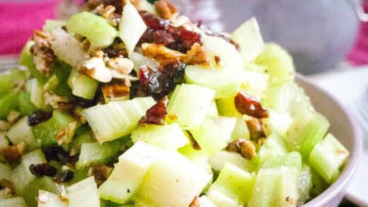 Easy Celery Salad Recipe with Cranberries and Pecans