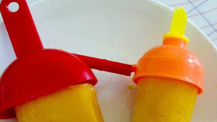 Homemade Mango Popsicle   Mango Yogurt Pops