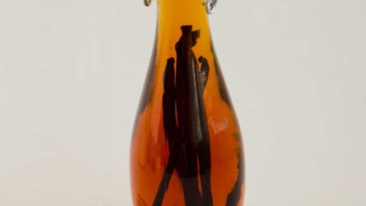 Homemade Vanilla Extract