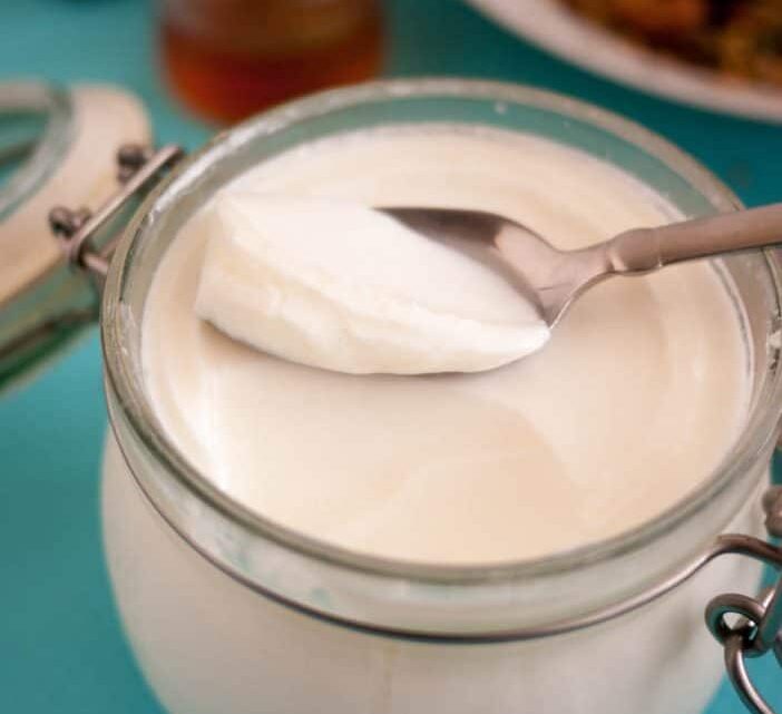 Homemade Yogurt   2 ingredients