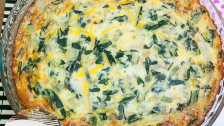 Swiss Chard Quiche   Crustless